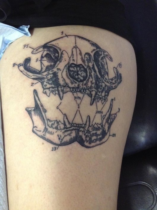 cat-skull-done-by-billy-shofner-at-brut-tattoo-in-charlotte-nc