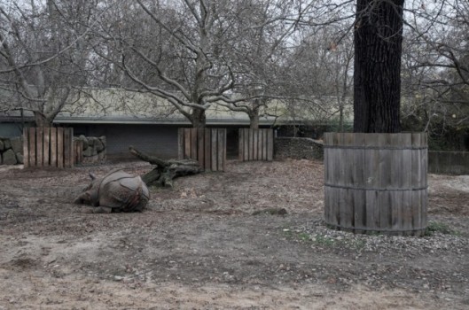 Depressing-Zoo-Pictures-17-634x420