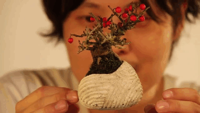 floating-bonsai-trees-air-hoshinchu-gif-31